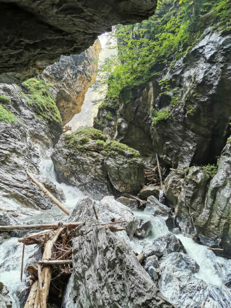 Der Blick in die wilde Liechtensteinklamm - ganz klein ist oben links der Aussichtspunkt zu erkennen