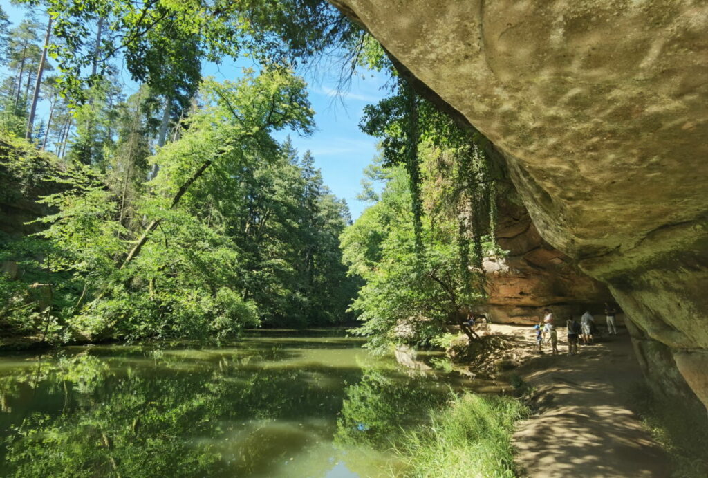 Naturdenkmäler Bayern - die Schwarzachklamm in Franken, nahe Nürnberg