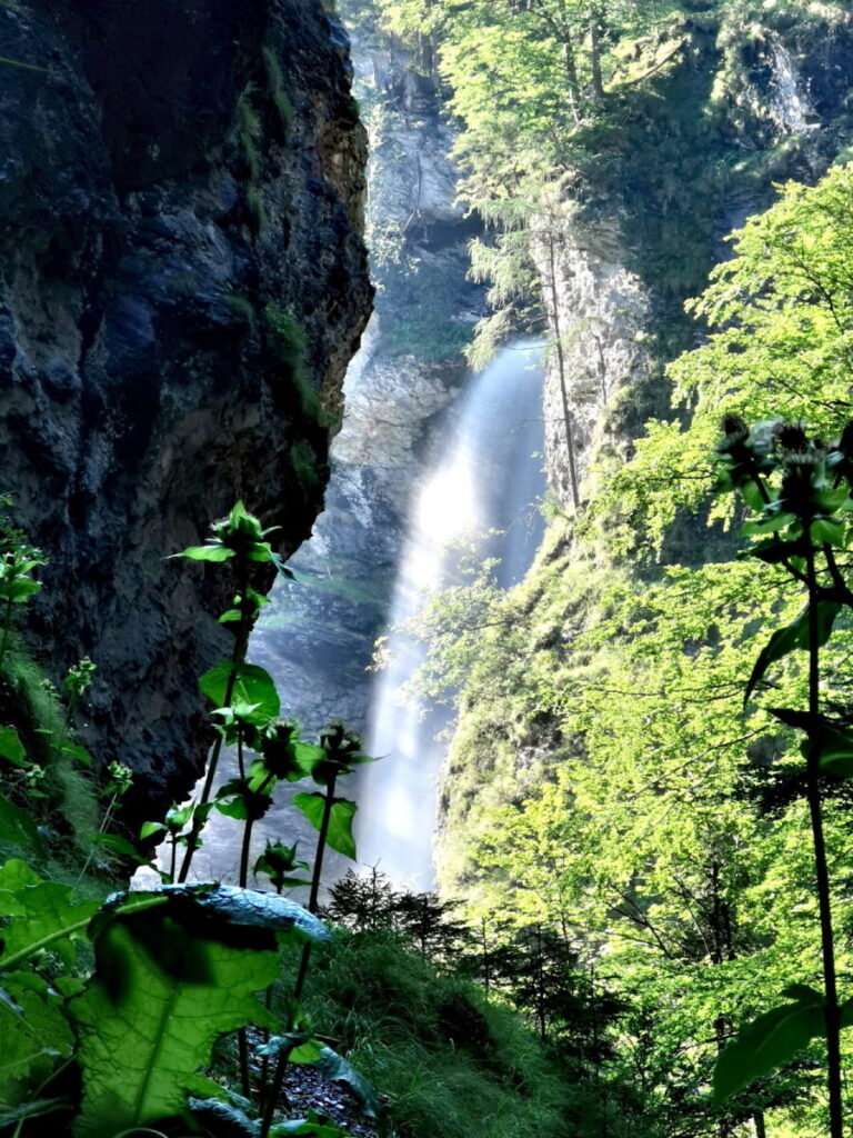 Liechtenstein gola con una grande cascata