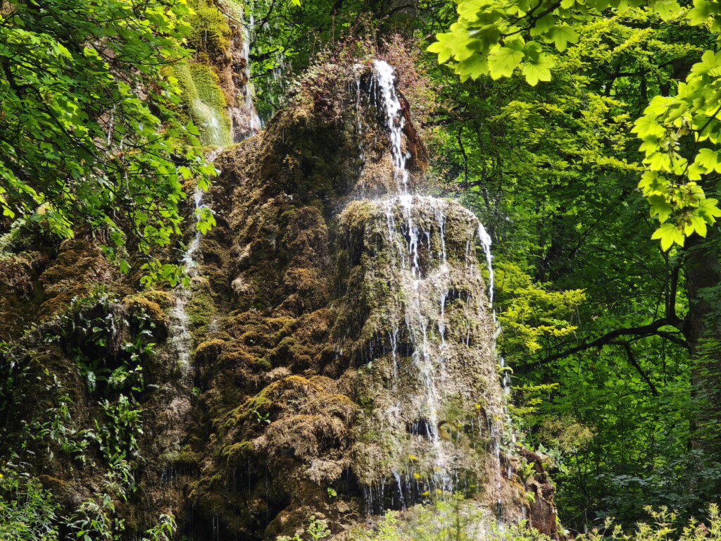 Naturdenkmäler Deutschland - der Uracher Wasserfall wächst Dank Kalkablagerung immer weiter